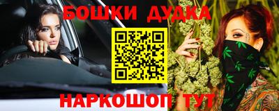 гидра Славгород