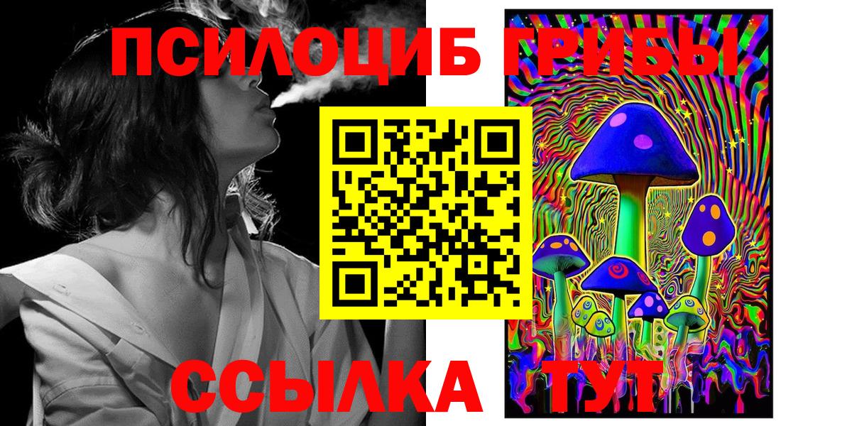Псилоцибиновые грибы мухоморы Новокубанск