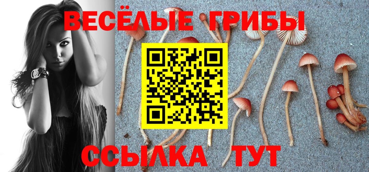 Псилоцибиновые грибы мухоморы  Вход с VPN  Новокубанск 